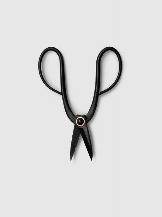 Ciseaux de jardinage en acier