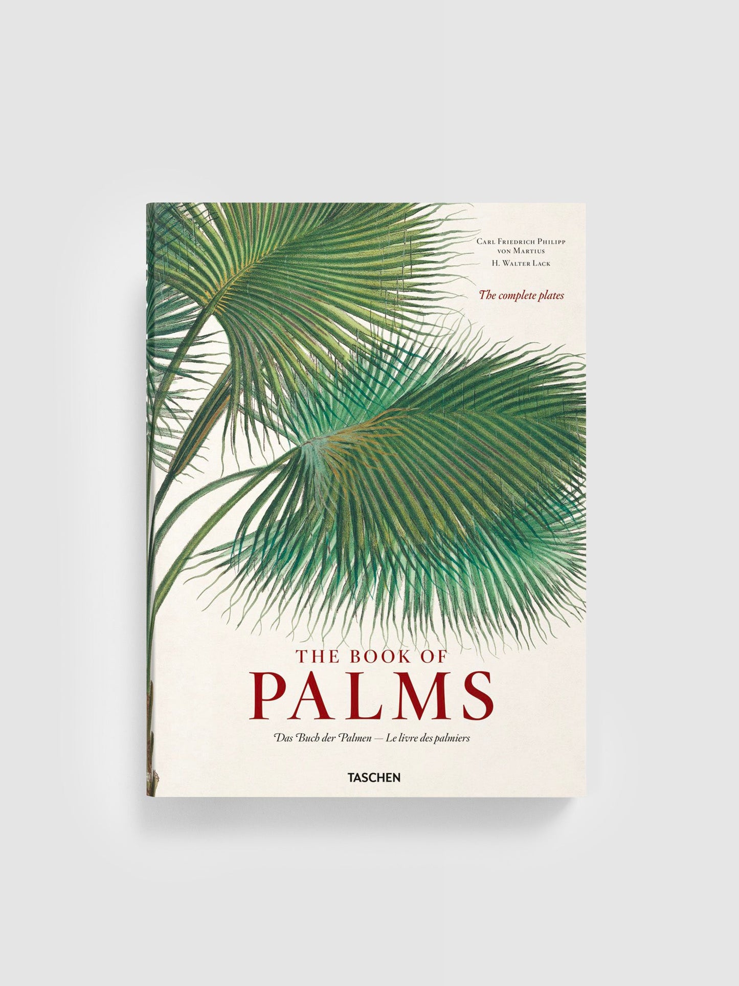 Le livre des palmiers