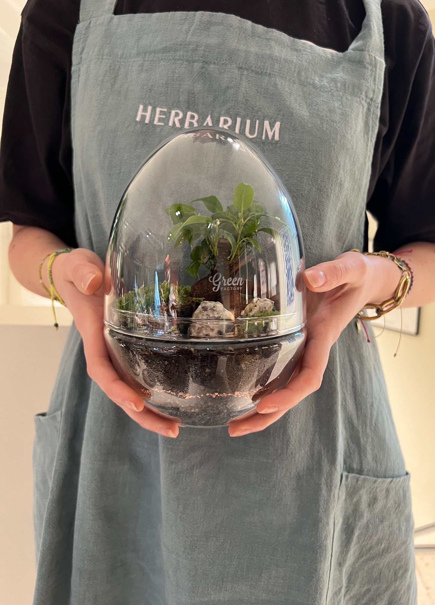 Atelier Terrarium