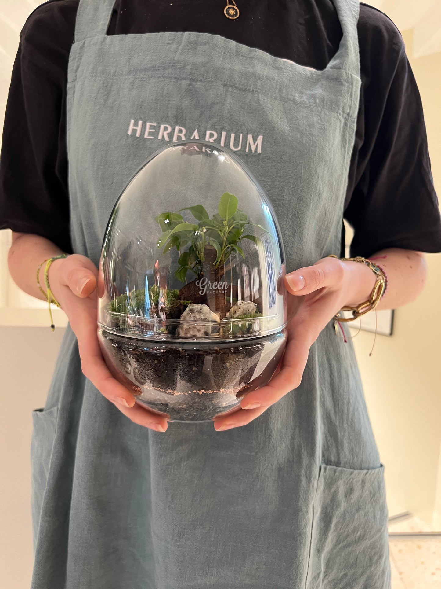 Atelier Terrarium