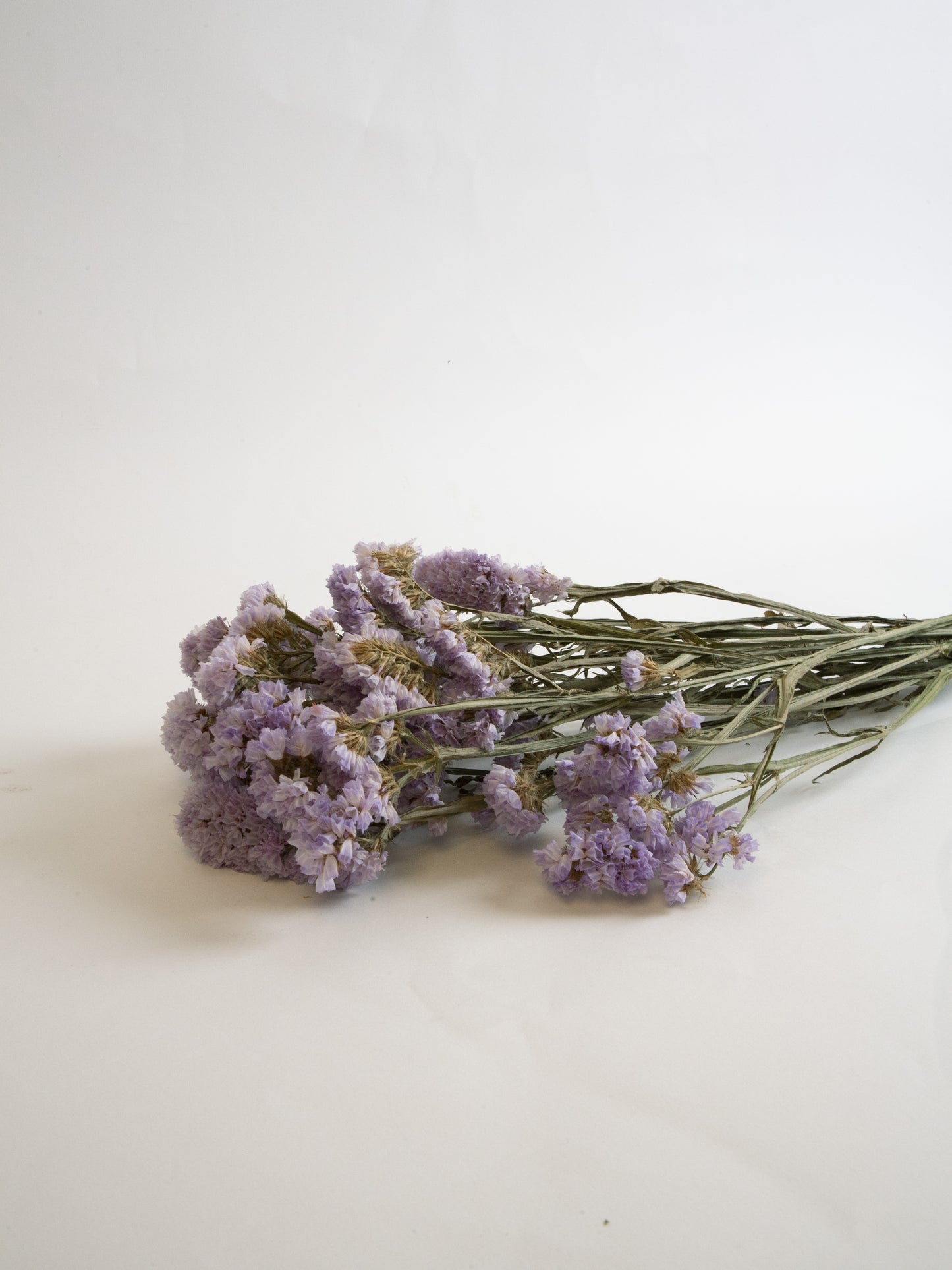 Botte Limonium statis violet